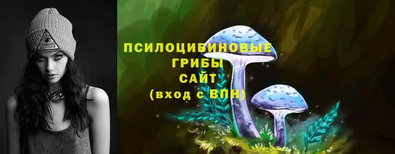 Псилоцибиновые грибы Magic Shrooms  Михайловка 